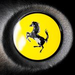 Photo Reasons to join the Libertarian Party