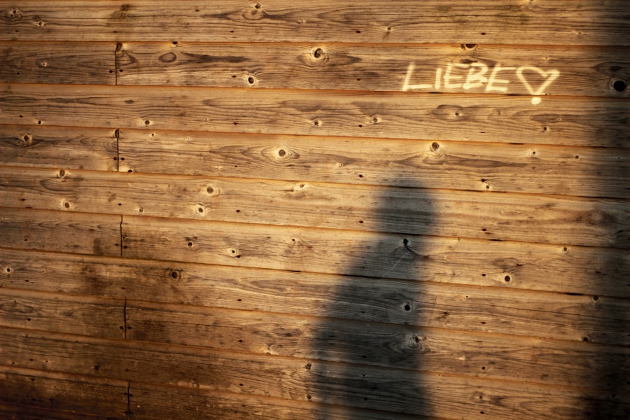 Photo "Libertarian Party values and beliefs"